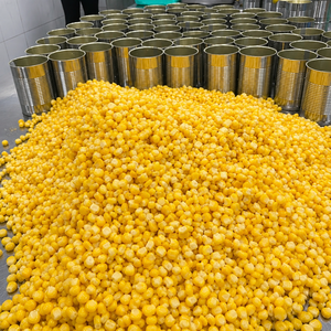 Fabricante de Maíz Dulce Enlatado al por Mayor - Maíz Dulce Enlatado Amarillo en Lata A10/A9/15OZ/12OZ/8OZ/ MS ALINA - Product Image 1