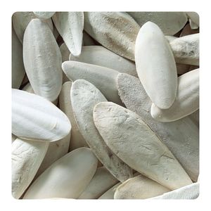 Hueso de Sepia de Alta Calidad, Precio Económico al por Mayor, Alto Contenido de Calcio, Hueso de Sepia Natural Premium, Suministro a Granel de Fábrica - Product Image 1