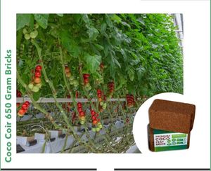 Exportador de confianza de ladrillos de hueso de coco de 650g Bloque de jardín de mezcla de turba de Coco para compradores en Omán - Product Image 6