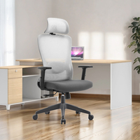 Chaise de bureau ergonomique moderne à dossier haut en maille avec support lombaire 2D, fabrication chinoise, en vente.