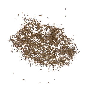 เมล็ดยี่หร่าคั่วคุณภาพสูงแบบเม็ดเต็มเมล็ด สำหรับปรุงอาหารเวียดนาม ขายส่ง - Product Image 2