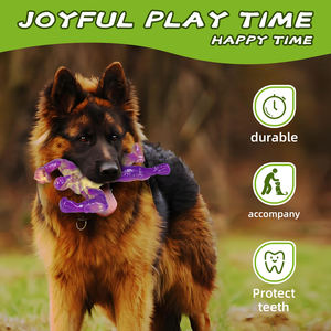 Non-Toxic Puzzle <b>Interactives</b> Chewing Tough Dog Cleaning Teeth <b>Toys</b> Durable Dog Chew Bone <b>Toy</b> <b>for</b> Aggressive Chewers - Product Image 5