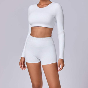 Top de Yoga para Mujer de Primera Calidad, Manga Larga, Ligero, Transpirable, Spandex/Nylon, Logotipo Frontal Personalizable, Precio Económico - Product Image 4