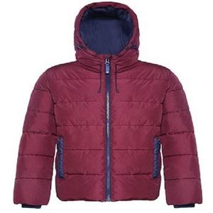 Chaqueta de Invierno Acolchada con Capucha y Logotipo Personalizado, Estilo 2023, Relleno de Algodón, para Hombre, Servicio OEM - Product Image 1