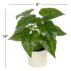 Set di 3 Piante Artificiali di Philodendron in Vaso Bianco da 10x4 Pollici, Verdi per Uso Interno - Product Image 3