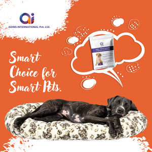 Alimento Seco para Perros con Alto Contenido de Proteínas, Sin Granos, Fórmula Saludable para Perros Adultos y Cachorros, Alimento Completo y Equilibrado para Mascotas, Suministro a Granel - Product Image 6