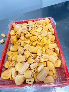 ลดราคาพิเศษ - ขนุนแช่แข็งส่งออกจำนวนมาก มีความต้องการสูง ปี 2026 - Product Image 4