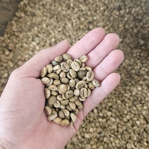 Premium Vietnam Robusta Green Coffee <b>Beans</b> Size 18 Vietnam coffee Instant Bulk Export High Caffeine Coffee Supplier - Product Image 1