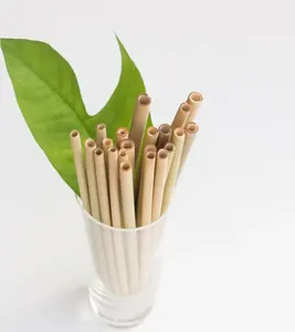 Long-lasting Vietnamese Bamboo Straws: Enjoy Sipping Sustainably, Mary