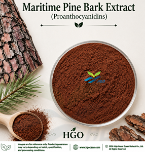 Suministro directo de fábrica de HGO de extracto de corteza de pino marítimo natural puro (grado alimenticio) proantocianidinas 95% (extracto estandarizado) - Product Image 1