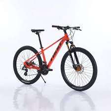 Bicicleta Eléctrica Infantil CN Ebike TD750S, Bicicleta Eléctrica Todoterreno Ligera de Largo Alcance, 36V 750W - Product Image 2