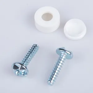 customized galvanized self tapping anti theft chopped head security screw for license plate