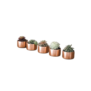 Ensemble de 2 pots et jardinières modernes en métal doré, écologiques, pour l'intérieur et l'extérieur, décoration de jardin et de maison - Product Image 2