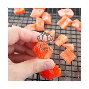 TOP SELLING 2026 Soft Dried Papaya Chunks For Kids <b>Lunchbox</b> Pure Tropical Fruit Clean Safe Nutritious Dried Fruit Medley Kit - Product Image 1