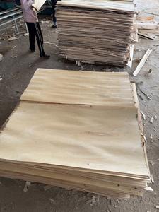 Chapa de Eucalipto 100% Natural, Duradera y Ecológica, Corte Rotatorio, Superficie Lisa, 5-10% de Humedad, para Fabricación de Tableros de Muebles - Product Image 5