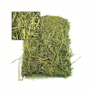 Alfafa Hay Animal <b>Feeding</b> Stuff Alfalfa, hay/alfalfa hay <b>pellets</b> Timothy Hay/ Alfafa in Bales - Product Image 1