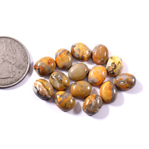 Jaspe abeille de qualité supérieure, cabochon ovale 10x8 mm, pierre précieuse naturelle en vrac, vente en gros - Product Image 2