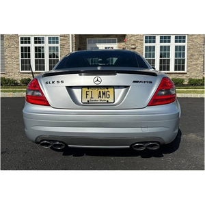 Mercedes-Benz SLK55 AMG 2009 - Product Image 4