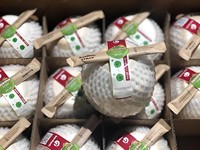 Eau de coco Goût sucré Haute qualité Exportation Vente en gros Meilleur prix Agriculture Jeune noix de coco fraîche de Ben Tre Vietnam ANNA DO