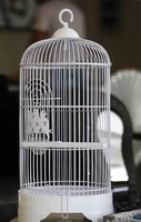Vente en gros de petites cages à oiseaux rondes multicolores ornementales en métal très vendues Cages pour perroquets