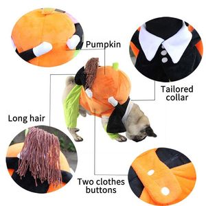Zucca Mon Halloween Pet Dog Costume graziosi vestiti per animali domestici per il tuo amico peloso - Product Image 3