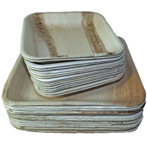 High Quality Natural Areca Leaf Plates Dinner plate made in natural fallen leaf plates for parties