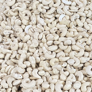 เม็ดมะม่วงหิมพานต์ LWP ผู้จัดจำหน่ายที่เชื่อถือได้จากเวียดนามส่งออกไปยังเรายุโรปตะวันออกกลางจากซานติโก - Product Image 1