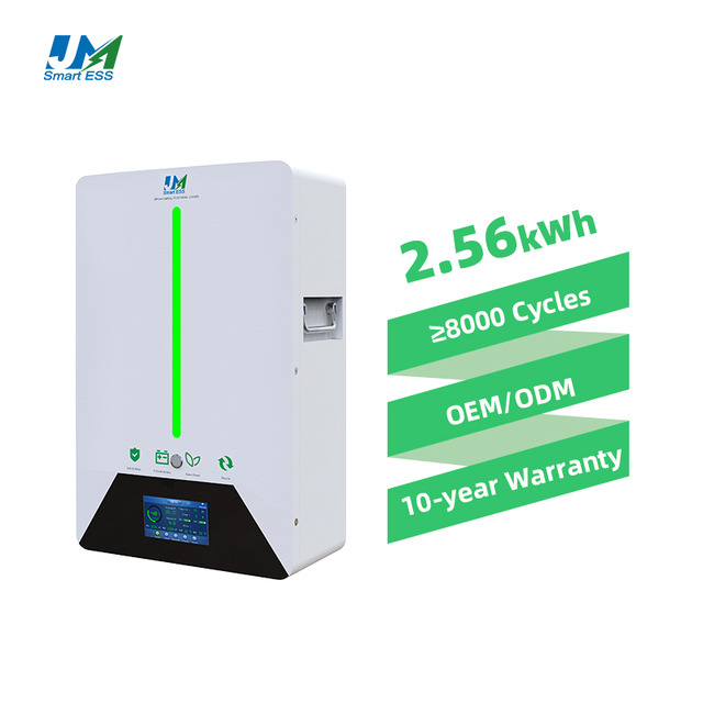 JM Factory Customized 12V 24V 25.6V 100Ah 200Ah 2.56kWh 5.12kWh Home Wall Mounted Energy LFP Powerwall Lithium Ion Battery Pack