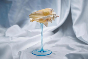 Copas de vino de concha marina en stock, copas de concha marina para decoración, regalo de boda costera de Vietnam - Product Image 3