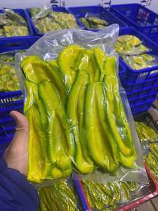 Aguacate Congelado IQF de Vietnam, Proveedor a Granel, Calidad Premium para Smoothies, Bebidas, Procesamiento de Alimentos y Servicios de Alimentación - Product Image 3