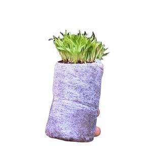 Tapones de Fibra de Coco/Pellets Jiffy/Disco de Fibra de Coco - Con y sin cubierta tejida a un precio asequible, exportador del mercado de la India - Product Image 6