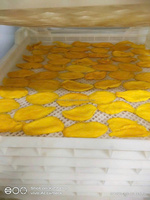 Vietnam Natuurlijk Tropisch Fruit Snack Zacht Gedroogde Mango Geen Suiker Toegevoegd Veganistisch Glutenvrije Zoete Smaak Siroop Bulk Groothandel Export