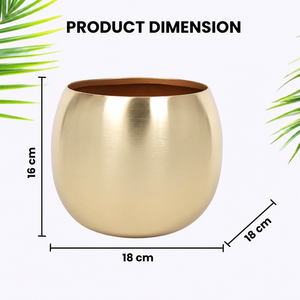 Maceta de Hierro Dorado Mate con Diseño Moderno y Elegante, Contenedor Decorativo de Metal para Flores, para Hogar, Sala de Estar, Balcón, Oficina - Product Image 2
