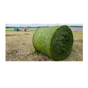 หญ้าอัลฟัลฟ่าแบบมัดใหญ่ / มัดหญ้าแห้งสำหรับส่งออก - Product Image 6