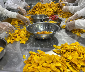 GREAT DELICIOUS FLAVOR SOFT DRIED JACKFRUIT CHIP WHOLESALE BEST PRICE JACKFRUIT TENDER TASTE INSTANT SNACK IN VIETNAM READY SHIP - Product Image 5