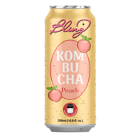 Tren Terbaru OEM ODM Label Pribadi 250ml/330ml Jus Buah Rasa Alami Mangga Kombucha Jeruk Vanila Puree Kaleng (Dalam Kemasan Kaleng)