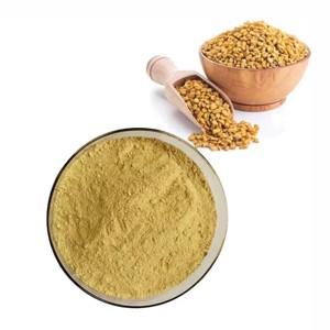 Poudre de graines de fenugrec 100% pure et naturelle, qualité alimentaire, poudre de fenugrec séchée pour la croissance des cheveux et les soins de la peau au meilleur prix en provenance d'Inde - Product Image 2