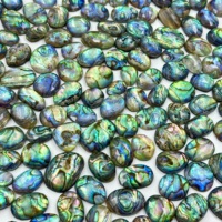 Coquille d'ormeau avec doublet de cristal, pierre précieuse en vrac pour la fabrication de bijoux, pierres polies, fournisseurs de cristaux de guérison, vente en gros en vrac