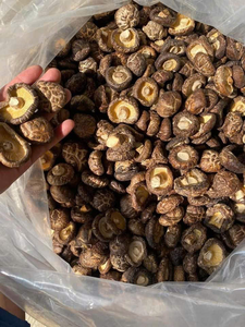 HIGH QUALITY Bulk Dried Shiitake Mushroom Vietnam Origin No Additives 2 Year Shelf Life Optimized Loading 40ft Container - Product Image 4