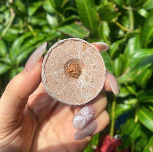 Bloque de turba de coco Biodegradable Ecológico para plantar Jardinería y Agricultura por Green Future Vietnam - Product Image 1
