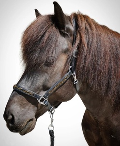 Licou de cheval en cuir noir léger avec rembourrage en mouton blanc et raccords en laiton Halter de cheval de frottement international - Product Image 3