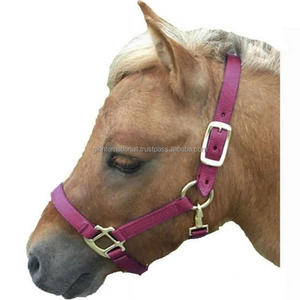 Venta al por mayor de cabestros de nailon para caballos, cabestro práctico personalizado para caballos, cuello de cabeza equina de alta calidad con Productos Ecuestres de lana - Product Image 3