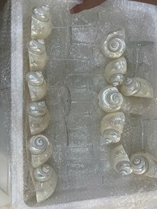 Seaside Shell Glass Ornaments on Brass Pedestal Boutique Hotel Interior Accent Coastal Shell Glass Decor with Brass Stand - Product Image 2