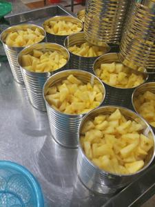 Rodajas de Piña Enlatadas para Hornear, para Helados y como Adorno para Postres/ QUEEN PINEAPPLE SLICE - Product Image 2