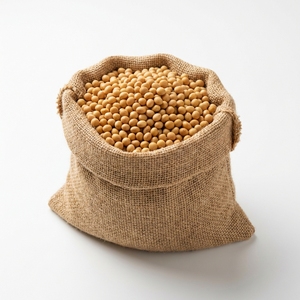 Semillas de Soja Premium Sin GMO de Alta Germinación para Cultivo Agrícola e Industrial - Product Image 4
