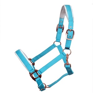 Cómodo y Duradero Halter de Cuerda de Nailon con Patrón Azul Turquesa y Coral, Herrajes de Latón Ajustables - Product Image 4