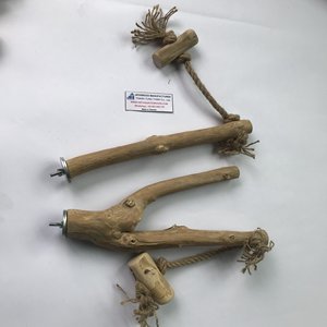 Bâton à mâcher pour chien en bois de café, naturel, écologique, durable, fabriqué au Vietnam - Product Image 6