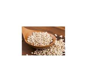 Graines de sorgho de haute qualité en vrac, exportées d'Afrique du Sud, GLOBAL EXPORT... pour les distributeurs et importateurs en gros du monde entier - Product Image 1