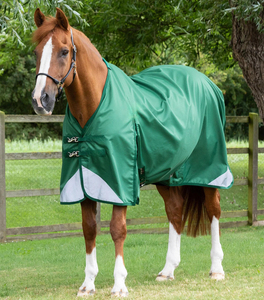Couverture d'extérieur pour chevaux, imperméable et respirante, de qualité supérieure, couleur vert émeraude, durable, légère, pour l'équitation - Product Image 1