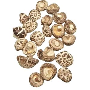 Hongo Shiitake Seco Hongo Seco De 99 Datos De Oro - Product Image 1